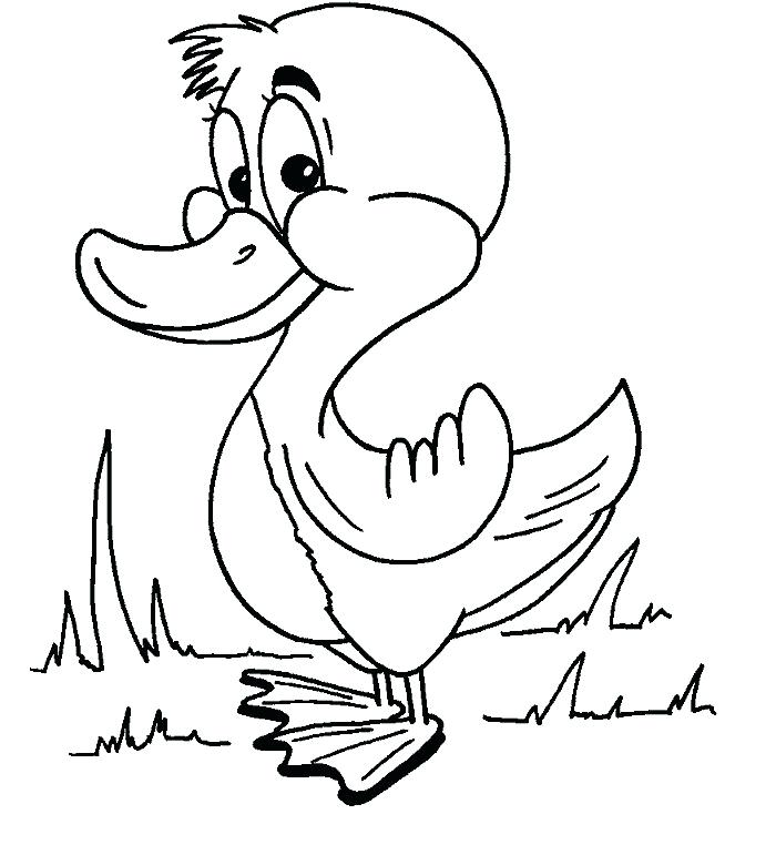 Cute Duck Coloring Pages Cute Cartoon Duck Wearing Bow Tie Birds 700x762 Cute Duck Coloring Pages Cute Cartoon Duck Wearing Bow Tie Birds
