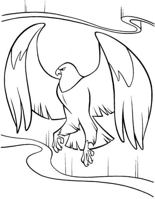 510x653 Cartoon Eagle Coloring Pages Kids Coloring Pages