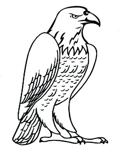 391x500 Eagle Coloring Page Baby Eagle Coloring Page