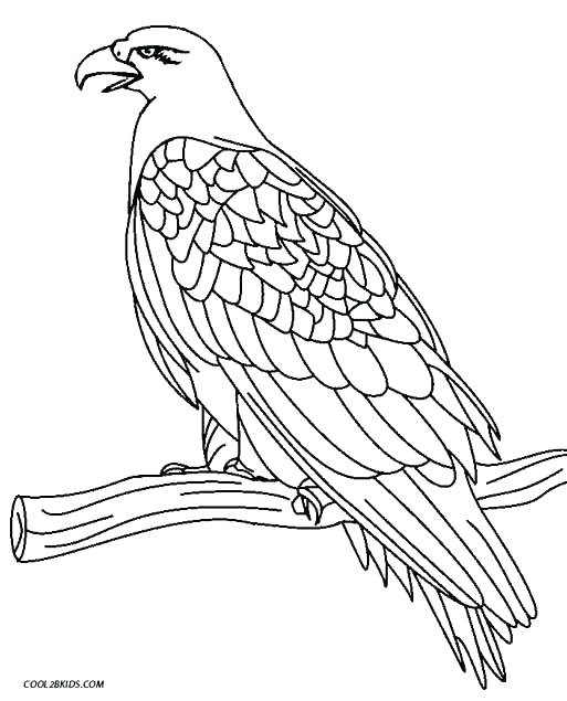 513x635 Harpy Eagle Colouring Pages Cartoon Coloring Page Download Free