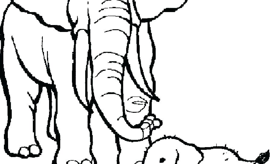 900x544 Coloring Pages Elephant Baby Elephant Coloring Pages Cute Elephant