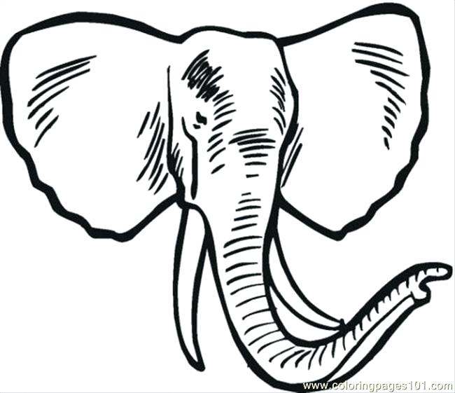 650x561 Free Printable Elephant Coloring Pages In Drawing Page Animals