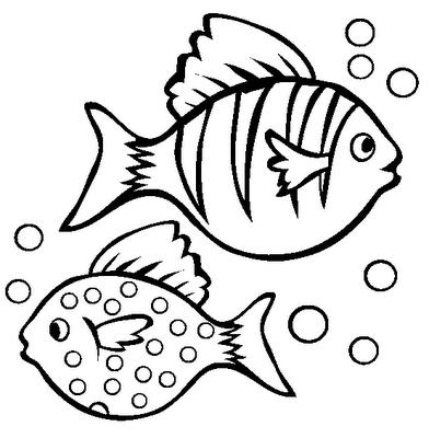 Cartoon Fish Coloring Pages