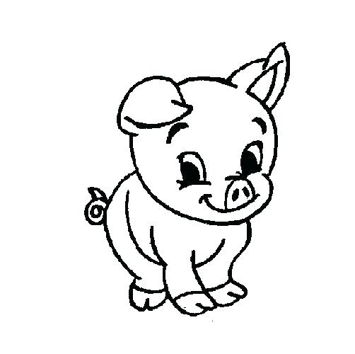 Cartoon Coloring Pictures Pig Coloring Pages Coloring Page 502x500 Cartoon Coloring Pictures Pig Coloring Pages Coloring Page