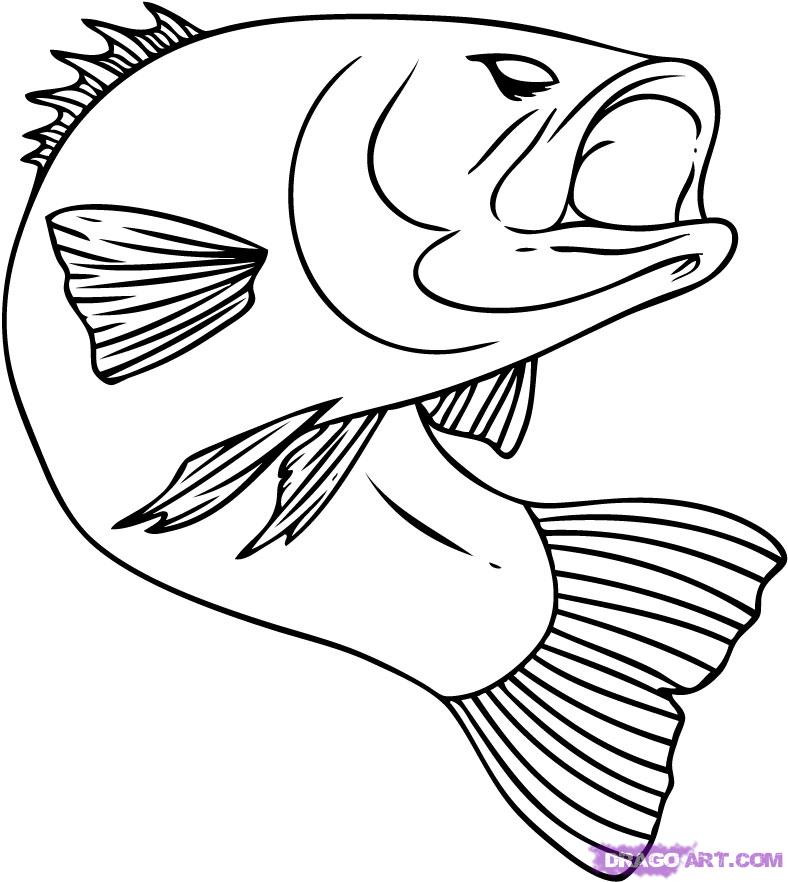Cartoon Fish Coloring Pages, Printable Cartoon Fish Coloring Page 788x882 Cartoon Fish Coloring Pages, Printable Cartoon Fish Coloring Page