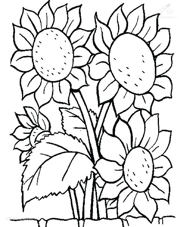 616x770 Coloring Pages With Flowers Coloring Book Pages Flowers Flower