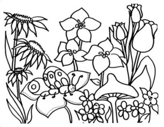 550x425 Flowers Coloring Pages For Kids Picture To Color Of Flowers