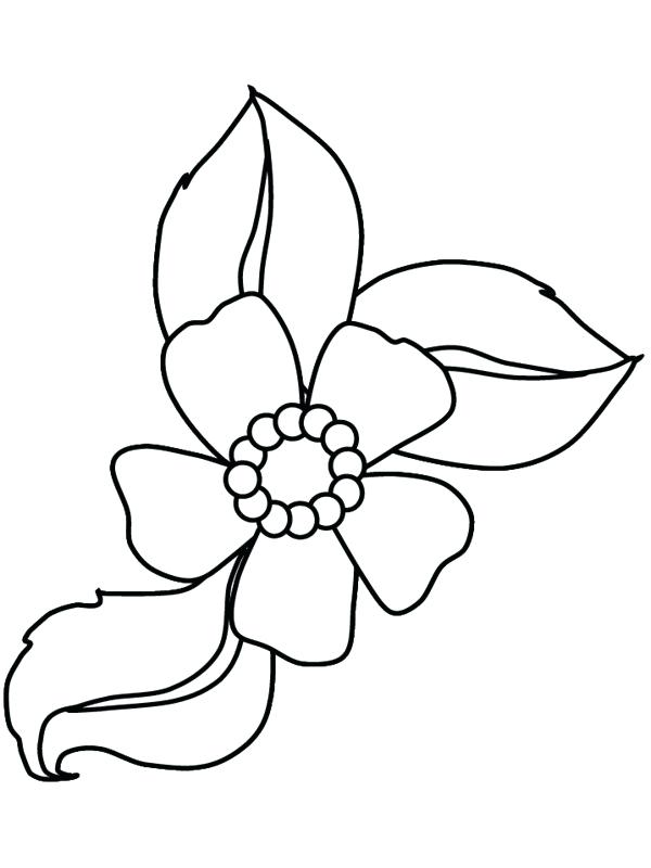 600x800 Pretty Flower Coloring Pages Pretty Cartoon Flowers Flower