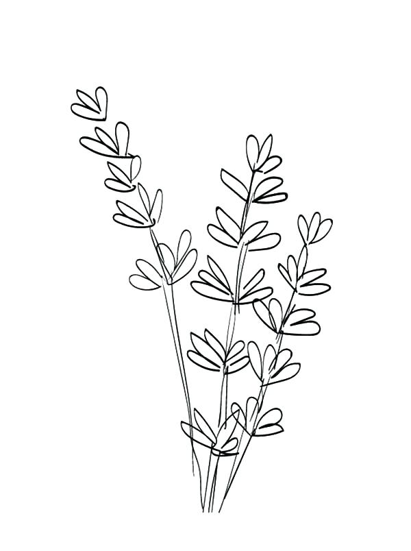 600x804 Cartoon Flower Coloring Pages Cartoon Flower Colouring Pages