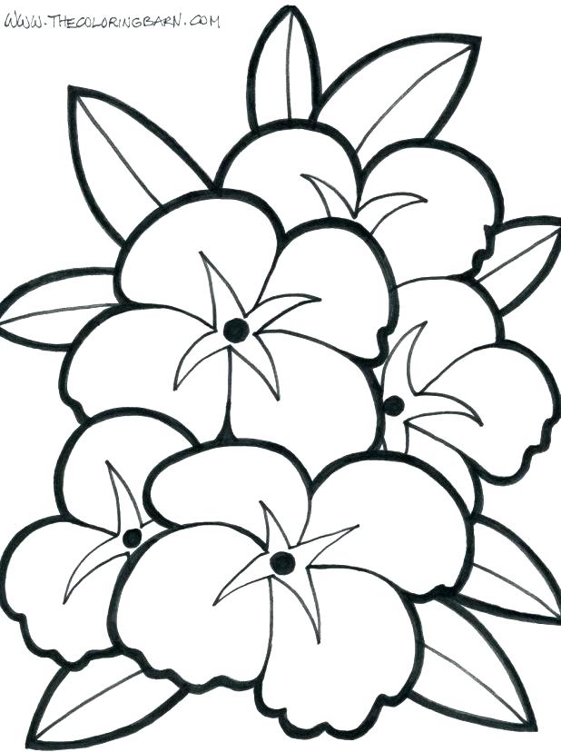 618x828 Cartoon Flower Coloring Pages. Free Flowers And Winnie The Pooh