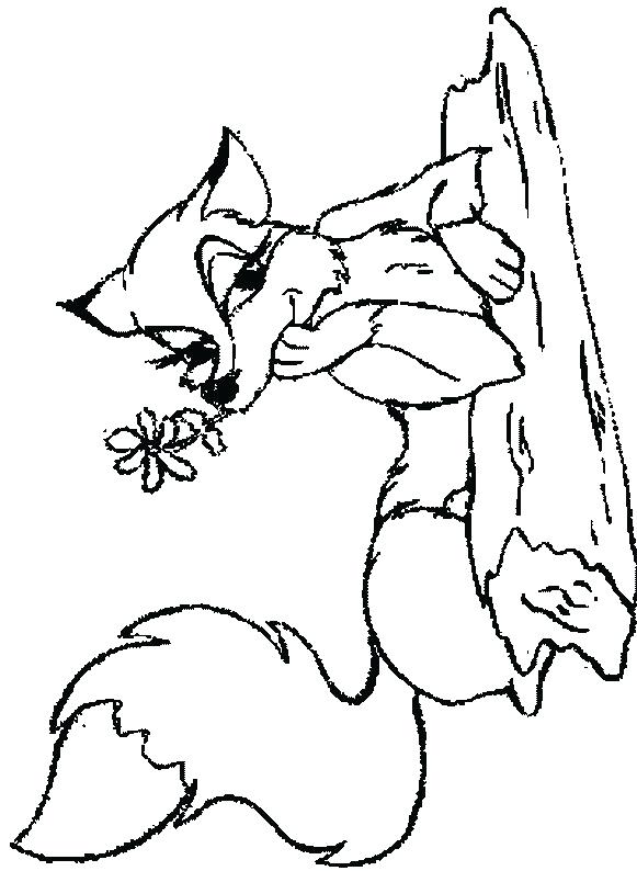 Realistic Fox Coloring Pages 581x794 Realistic Fox Coloring Pages