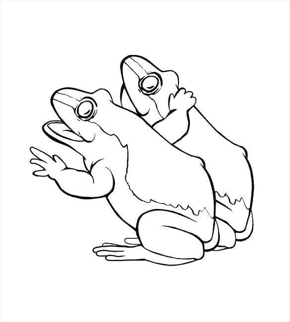 Coloring Pages Frog Princess And The Frog Coloring Pages Page 585x650 Coloring Pages Frog Princess And The Frog Coloring Pages Page