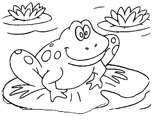 Free Frog Coloring Pages Cartoon Frogs Swimming Coloring Page 507x408 Free Frog Coloring Pages Cartoon Frogs Swimming Coloring Page