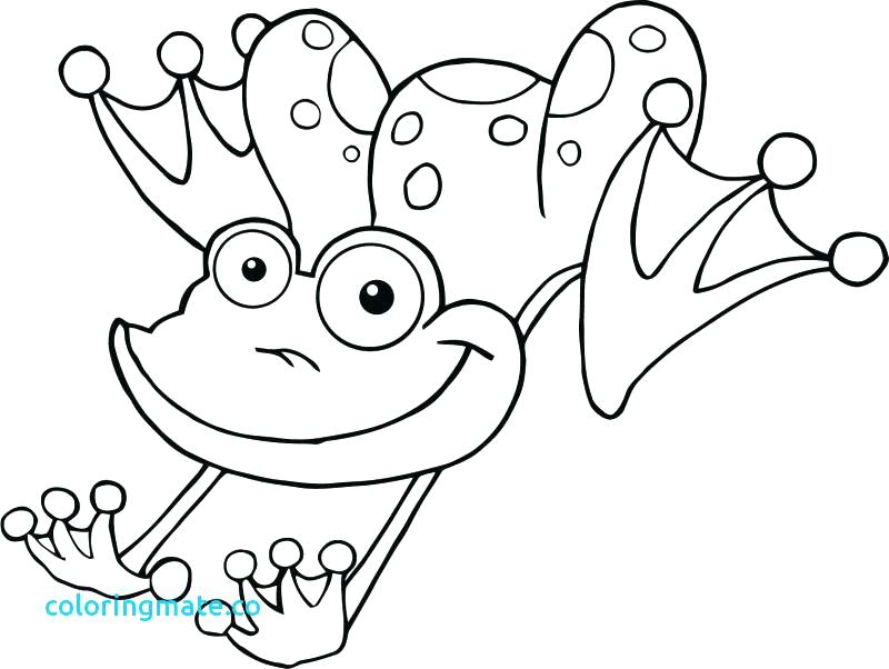 Frog Color Pages Princess And Frog Coloring Pages Coloring Leap 800x602 Frog Color Pages Princess And Frog Coloring Pages Coloring Leap