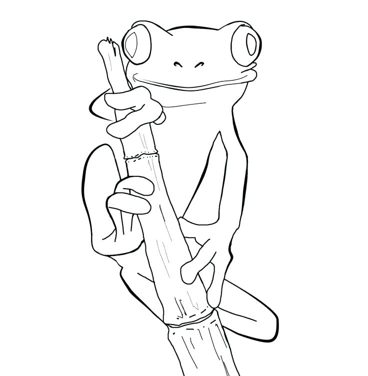 Frog Coloring Picture Frogs Coloring Pages Plus Frog Coloring 736x753 Frog Coloring Picture Frogs Coloring Pages Plus Frog Coloring