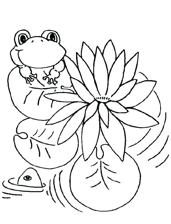 Cartoon Frog Coloring Pages 600x783 Cartoon Frog Coloring Pages