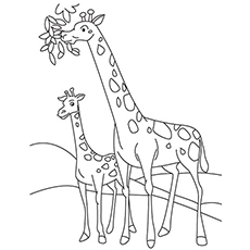 230x230 Top 20 Free Printable Giraffe Coloring Pages Online