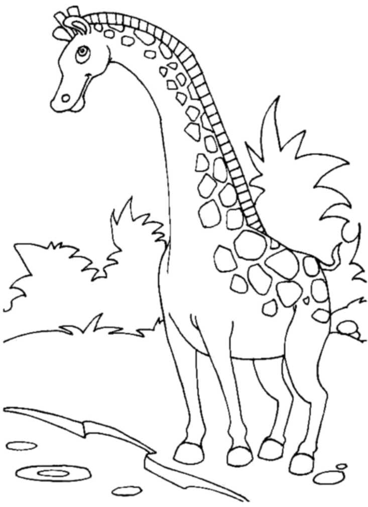 733x1009 Cartoon Giraffe Coloring Pages