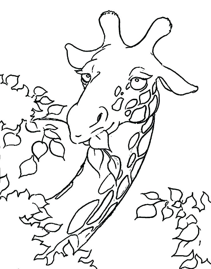 736x937 Coloring Page Giraffe