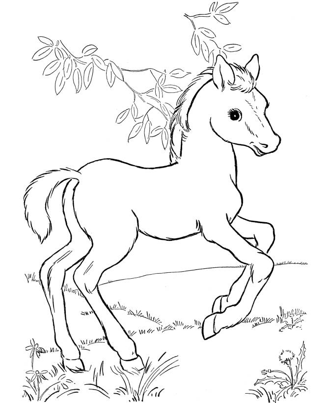 670x820 Pretty Horse Coloring Pages