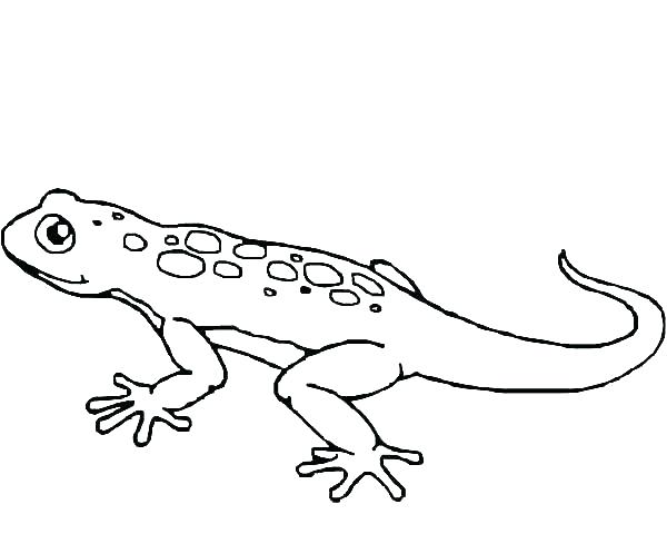 Gecko Coloring Pages Printable Lizard Coloring Page For Kids 600x480 Gecko Coloring Pages Printable Lizard Coloring Page For Kids