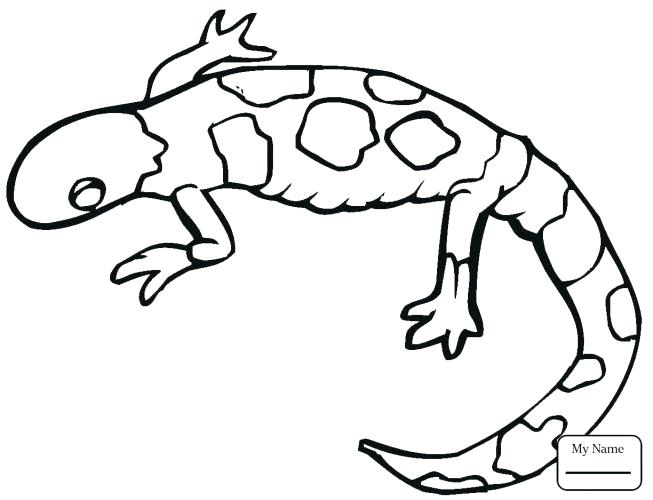 Cartoon Lizard Coloring Pages at GetColorings.com | Free printable ...