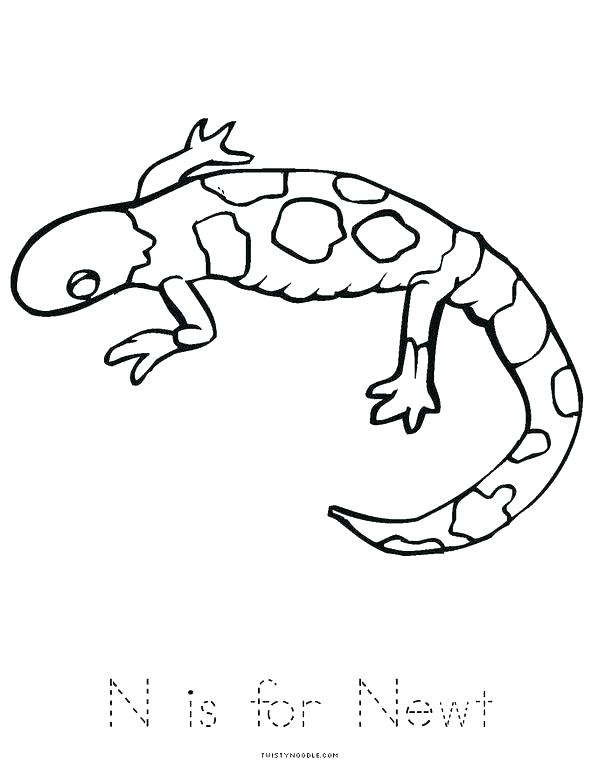 Lizard Coloring Pages Cartoon Lizard Coloring Pages Newt Coloring 599x776 Lizard Coloring Pages Cartoon Lizard Coloring Pages Newt Coloring