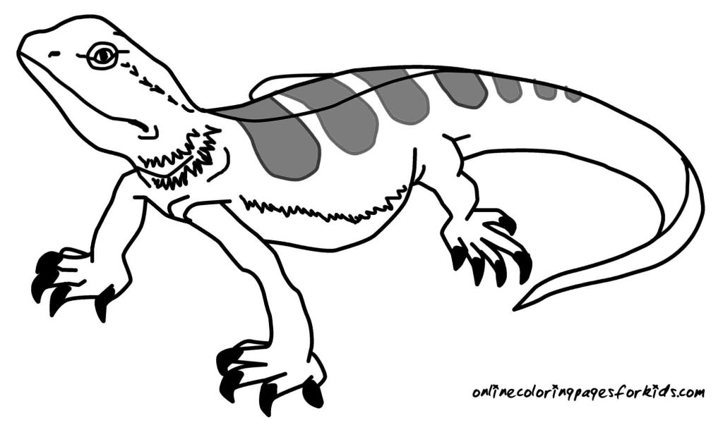 Lizard Coloring Pages Coloring Pages Kids 1024x603 Lizard Coloring Pages Coloring Pages Kids
