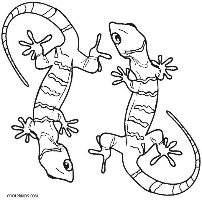 Printable Lizard Coloring Pages 685x676 Printable Lizard Coloring Pages