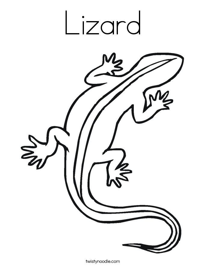 Lizard Coloring Page.png Birthday Party 685x886 Lizard Coloring Page.png Birthday Party