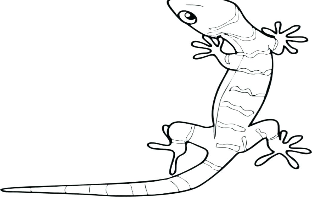 Basilisk Lizard Coloring Page Coloring Pages For Adults Only Free 1043x724 Basilisk Lizard Coloring Page Coloring Pages For Adults Only Free