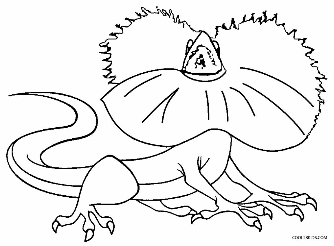 Printable Lizard Coloring Pages For Kids Cool2bkids Lizard 1154x850 Printable Lizard Coloring Pages For Kids Cool2bkids Lizard