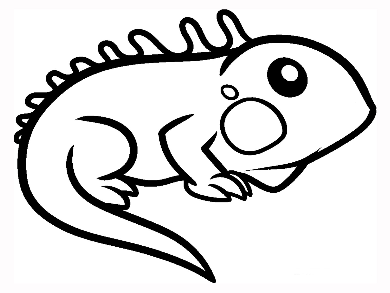 Cartoon Iguana Coloring Page 1600x1200 Cartoon Iguana Coloring Page