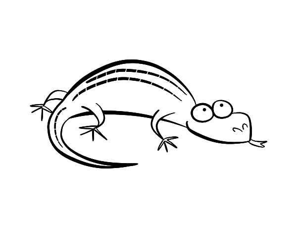 Cartoon Lizard Coloring Pages 600x464 Cartoon Lizard Coloring Pages