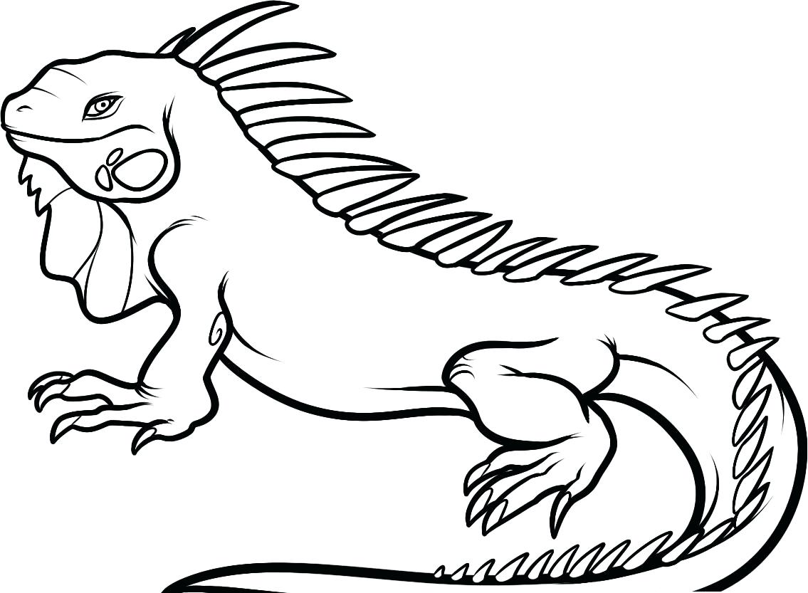Coloring Pages For Adults Only Free Printable Iguana Kids Cartoon 1135x833 Coloring Pages For Adults Only Free Printable Iguana Kids Cartoon