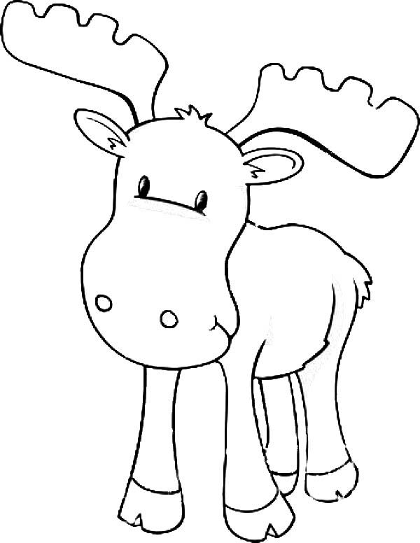 600x776 Moose, Baby Moose Coloring Page Preschool Moose