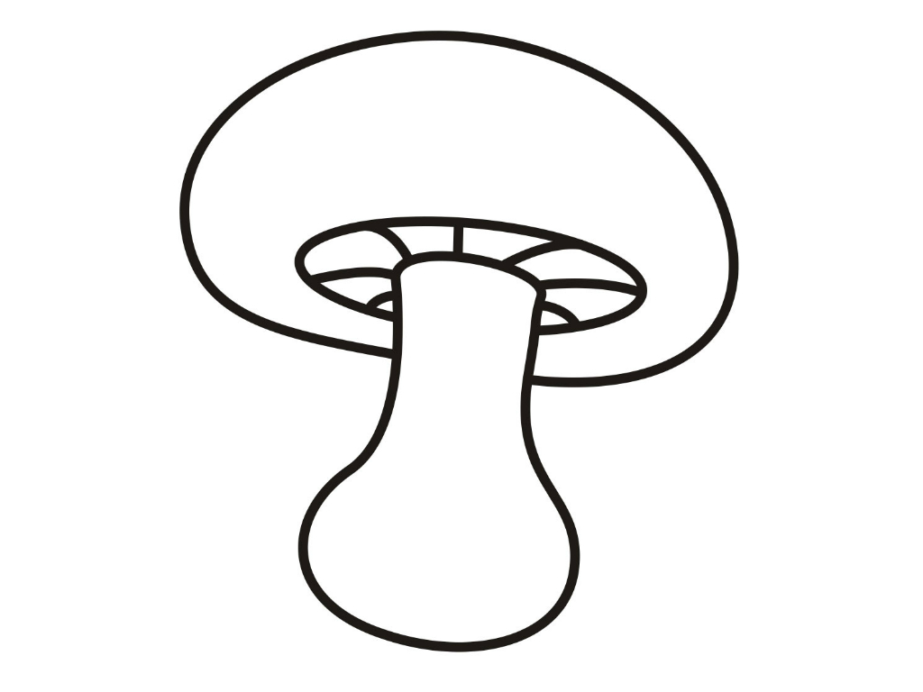 Mushroom Coloring Page 1024x768 Mushroom Coloring Page