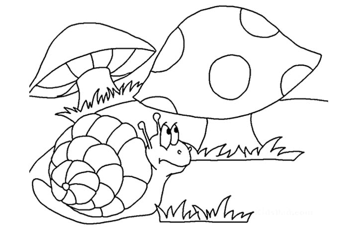 Printable Mushroom Coloring Pages 720x460 Printable Mushroom Coloring Pages