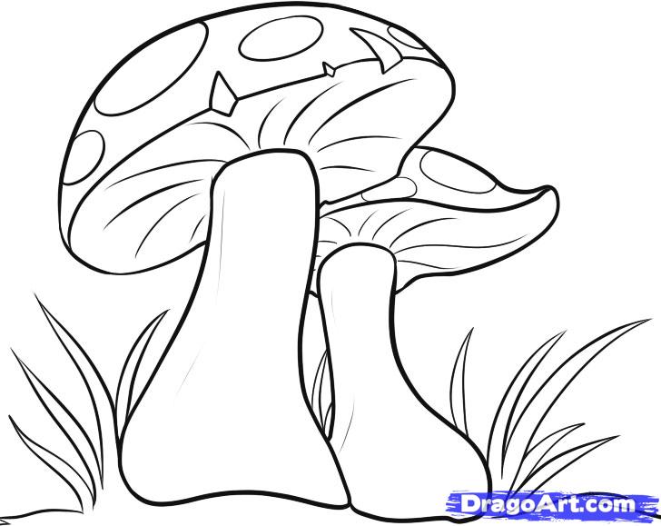 Cartoon Mushroom Coloring Pages How To Draw Mushrooms Step 6 728x579 Cartoon Mushroom Coloring Pages How To Draw Mushrooms Step 6