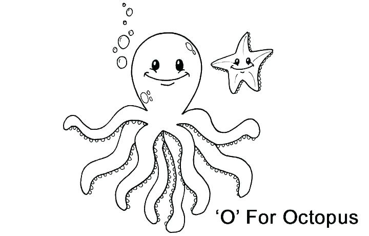 Coloring Pages Octopus Octopus Coloring Page For Preschoolers 720x460 Coloring Pages Octopus Octopus Coloring Page For Preschoolers