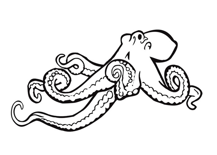 28 Octopus Coloring Page Printable Free Coloring Pages 700x500 28 Octopus Coloring Page Printable Free Coloring Pages