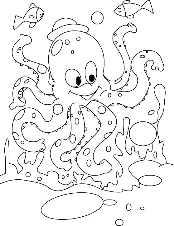 Octopus Coloring Pages Free Printable Octopus Coloring Pages 558x726 Octopus Coloring Pages Free Printable Octopus Coloring Pages