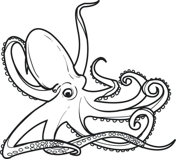 Octopus Coloring Pages Printable Octopus Coloring Page For Kids 700x632 Octopus Coloring Pages Printable Octopus Coloring Page For Kids