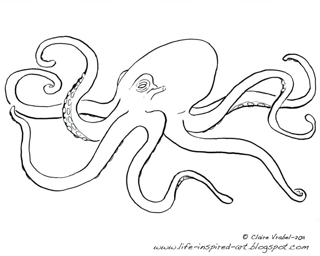 Coloring Page ~ Octopus Coloring Pages Page Animals Printable 1024x819 Coloring Page ~ Octopus Coloring Pages Page Animals Printable