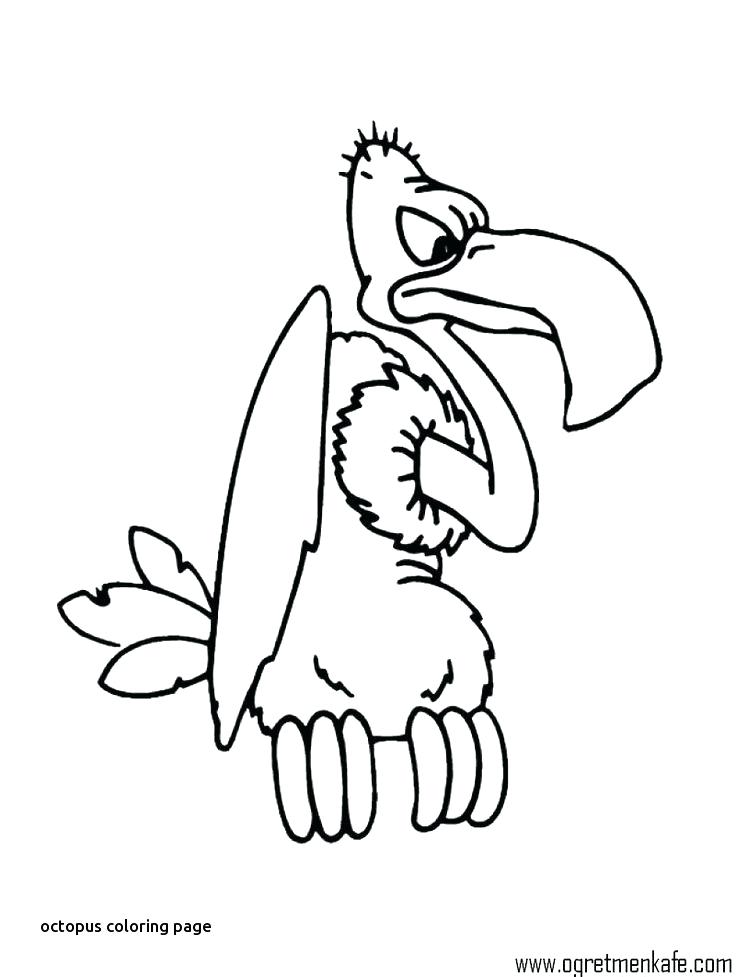 Coloring Pages Octopus Shippa.co 736x977 Coloring Pages Octopus Shippa.co