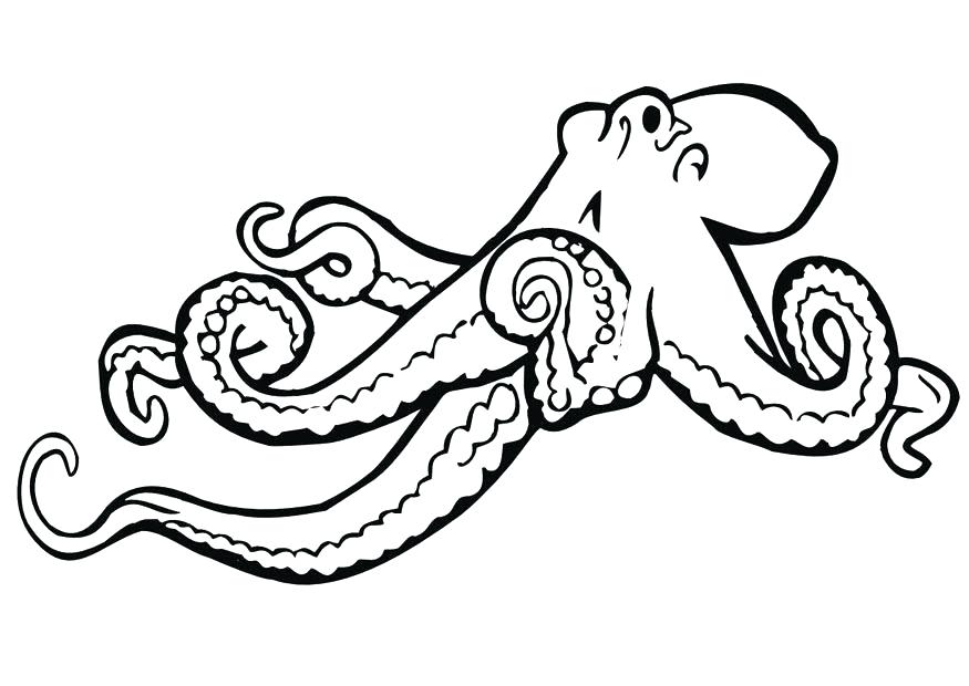 Cartoon Octopus Coloring Page Free Printable Pages 875x620 Cartoon Octopus Coloring Page Free Printable Pages