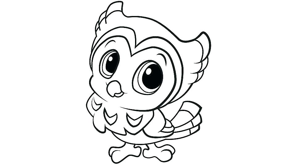 960x540 Owl Coloring Pages For Adults Free Printable Kids Baby Animal