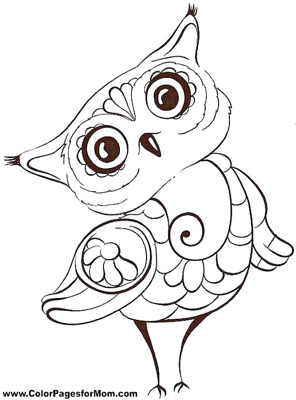 600x812 Printable Pictures Of Owls As Well As Owl Coloring Pages Free