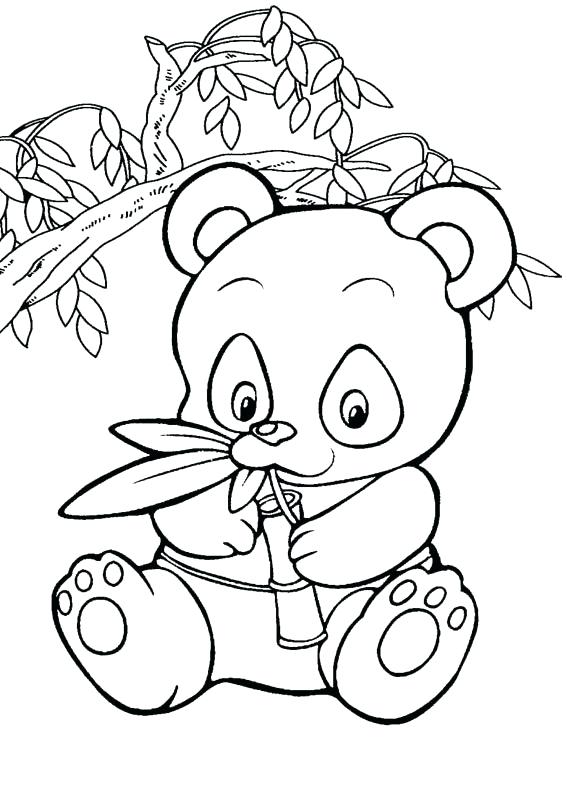 567x794 Red Panda Coloring Pages