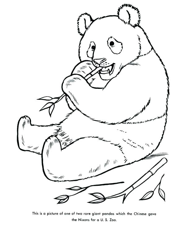 600x734 Panda Bear Coloring Sheet